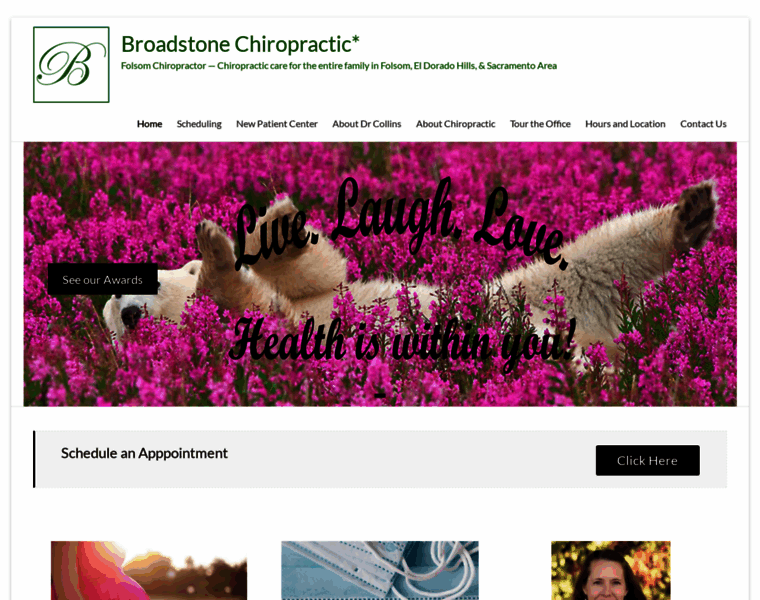 Broadstonechiropractic.com thumbnail