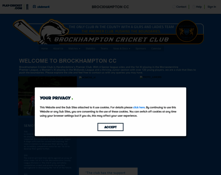 Brockhampton.play-cricket.com thumbnail
