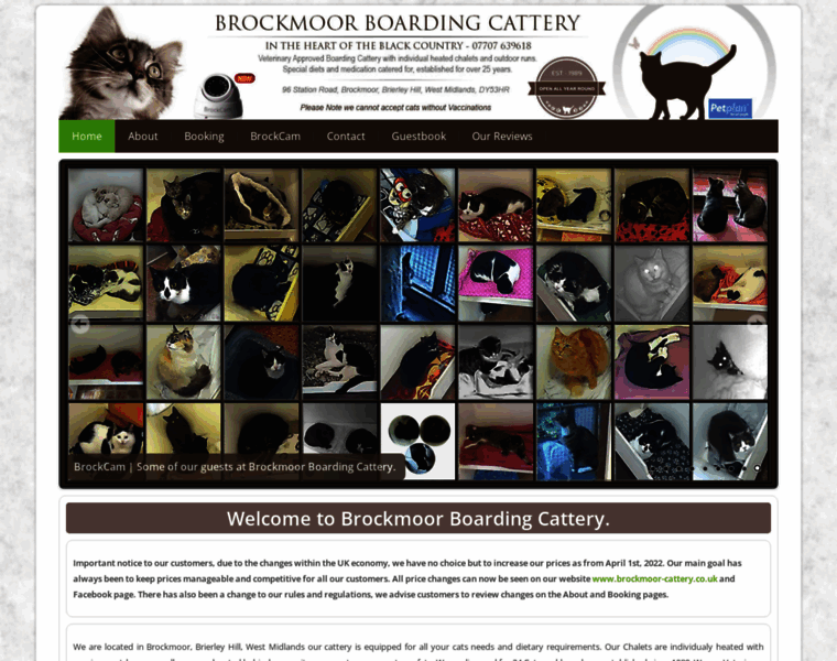 Brockmoor-cattery.co.uk thumbnail