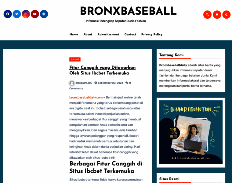 Bronxbaseballdaily.com thumbnail