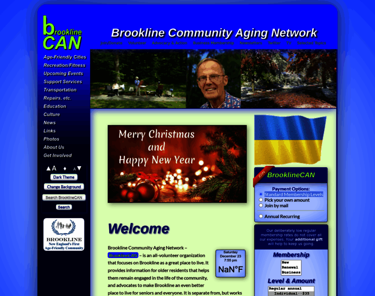 Brooklinecan.org thumbnail