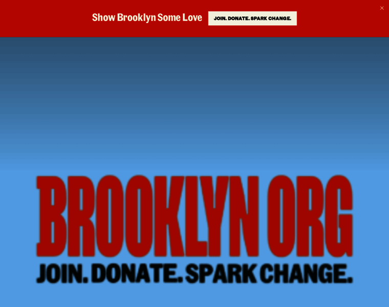 Brooklyncommunityfoundation.org thumbnail