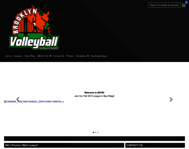 Brooklynvb.leaguer.org thumbnail Brooklynvb.leaguer.org thumbnail