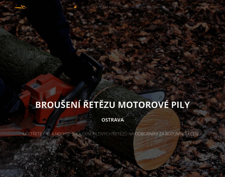 Brouseni-retezu-motorove-pily.cz thumbnail