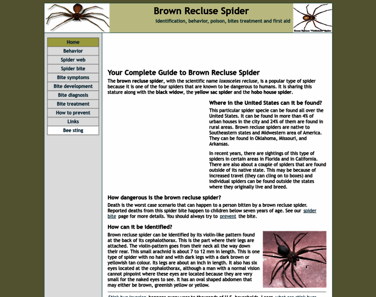 Brown-recluse-spiders.net thumbnail