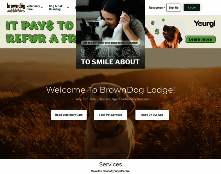 Browndoglodge.com thumbnail