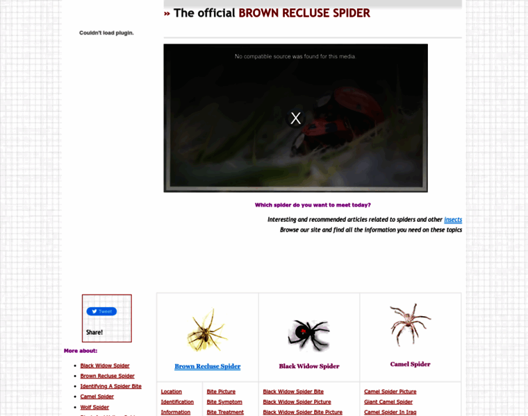 Brownreclusespider.org thumbnail