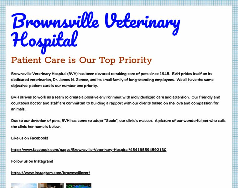 Brownsvilleveterinaryhospital.com thumbnail