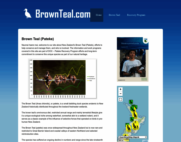 Brownteal.com thumbnail