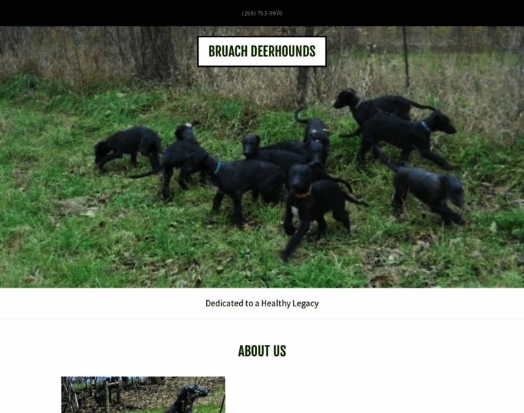 Bruachdeerhounds.com thumbnail