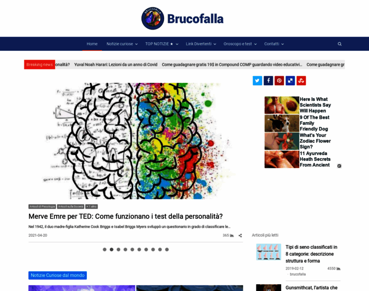 Brucofalla.com thumbnail