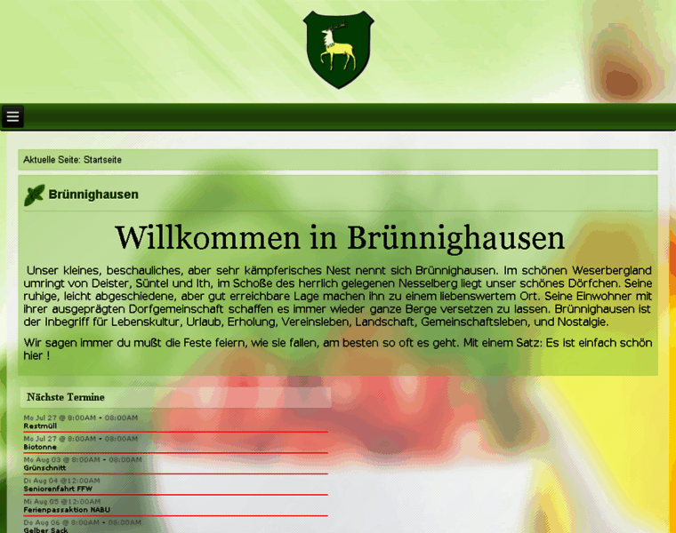 Bruennighausen.de thumbnail