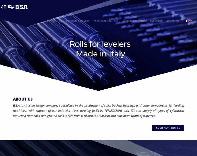 Bsarolls.it thumbnail