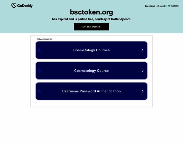 Bsctoken.org thumbnail