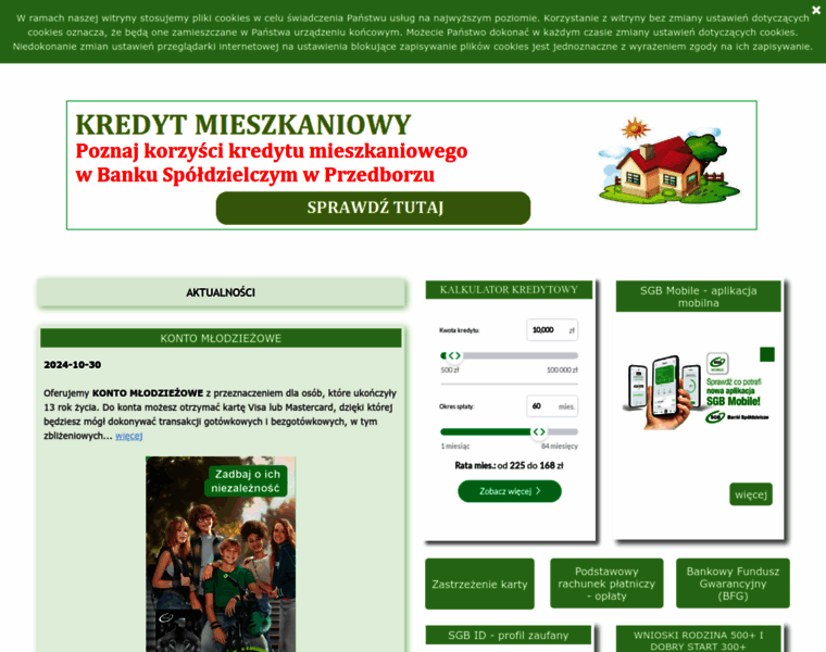 Bsprzedborz.pl thumbnail