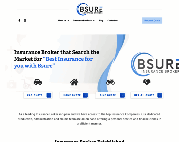 Bsureinsurance.com thumbnail