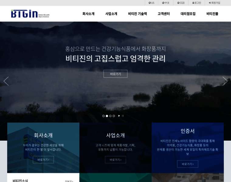 Btgin.com thumbnail