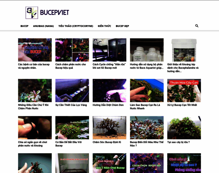 Bucep.net thumbnail