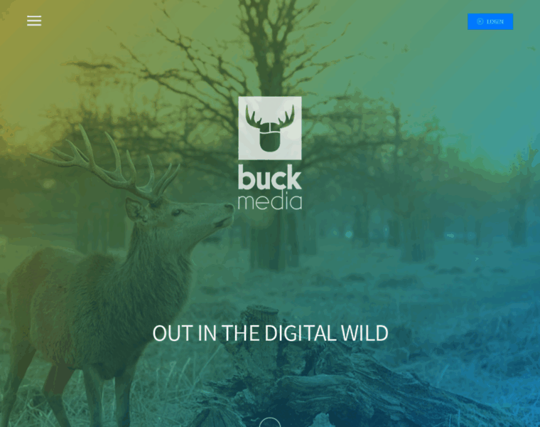 Buck-media.de thumbnail