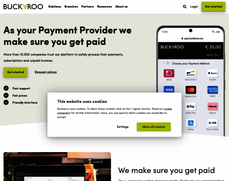 Buckaroo-payments.com thumbnail