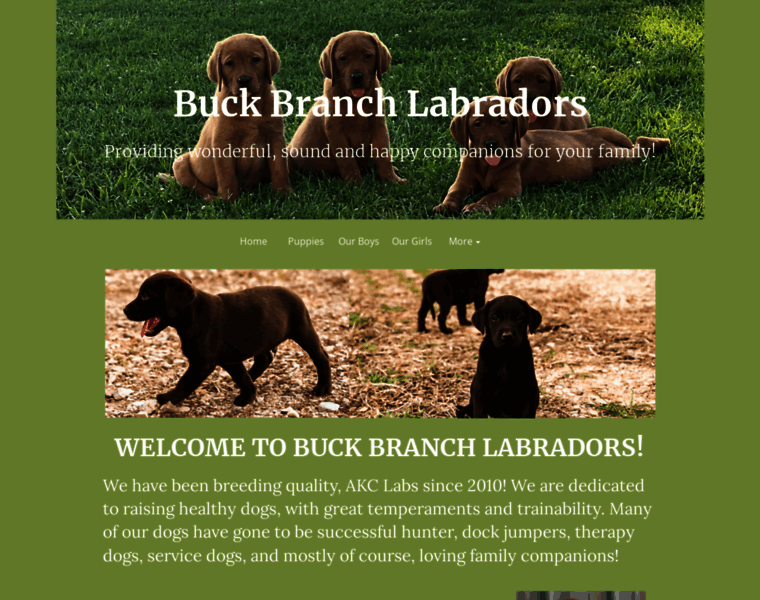 Buckbranchlabs.com thumbnail