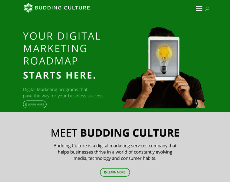 Buddingculture.com thumbnail