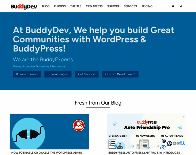 Buddydev.com thumbnail