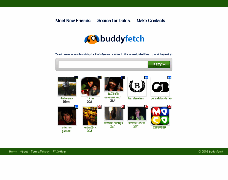Buddyfetch.com thumbnail