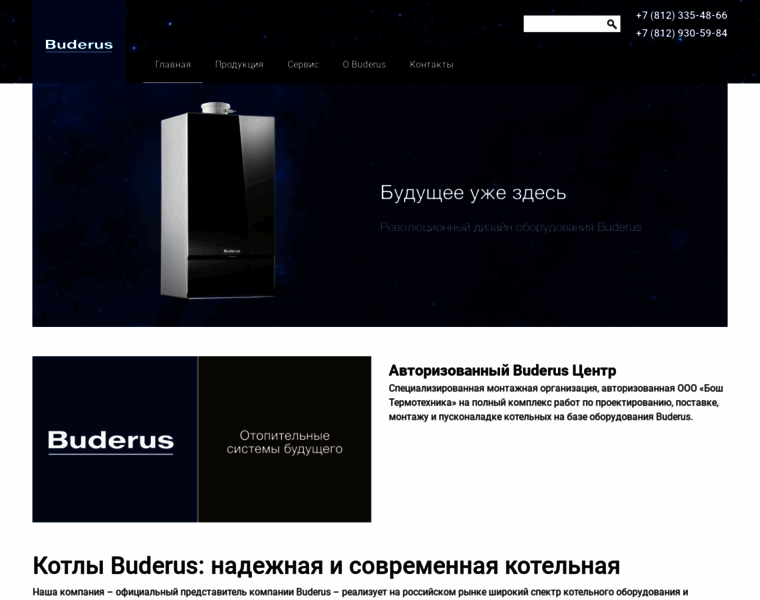 Buderus-spb.ru thumbnail