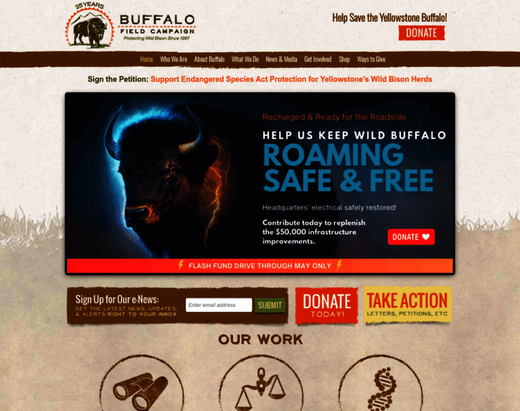 Buffalofieldcampaign.org thumbnail