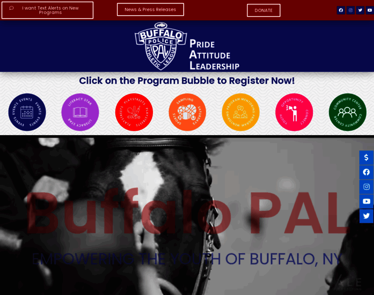 Buffalopal.com thumbnail