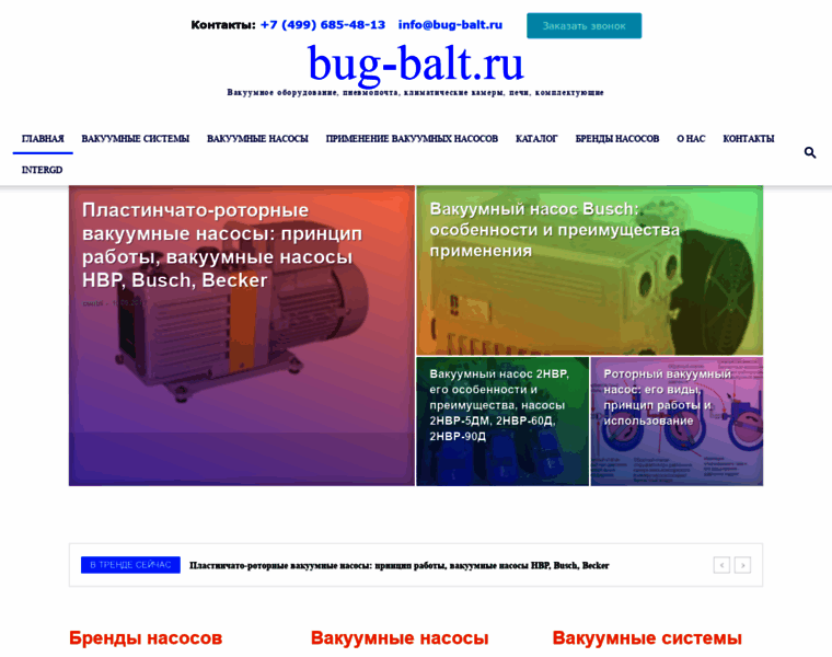 Bug-balt.ru thumbnail