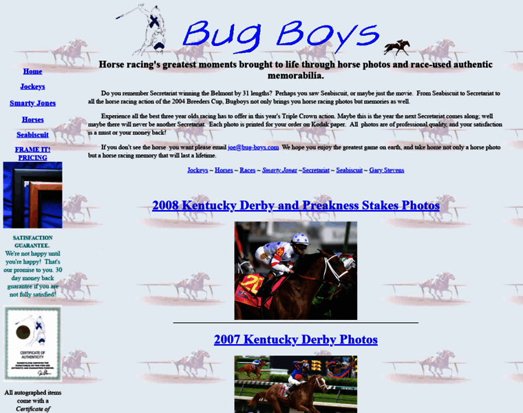 Bug-boys.com thumbnail
