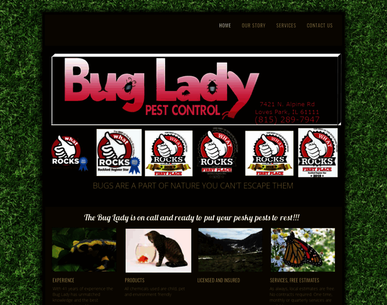 Bugladypestcontrol.com thumbnail