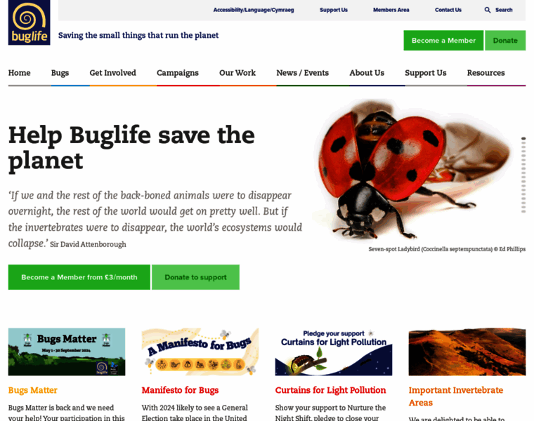 Buglife.org.uk thumbnail
