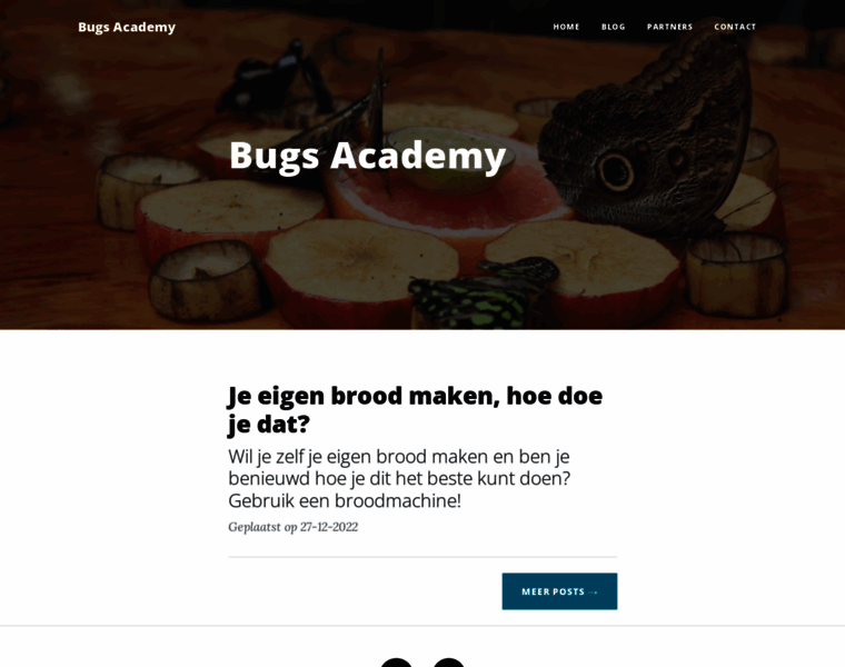Bugsacademy.nl thumbnail