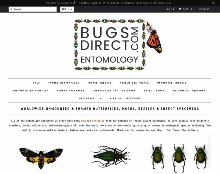 Bugsdirect.com thumbnail
