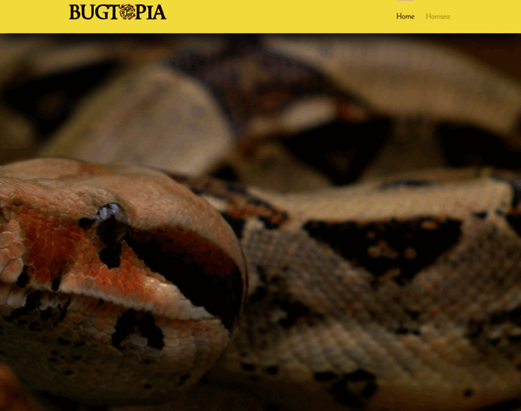 Bugtopia.co.uk thumbnail