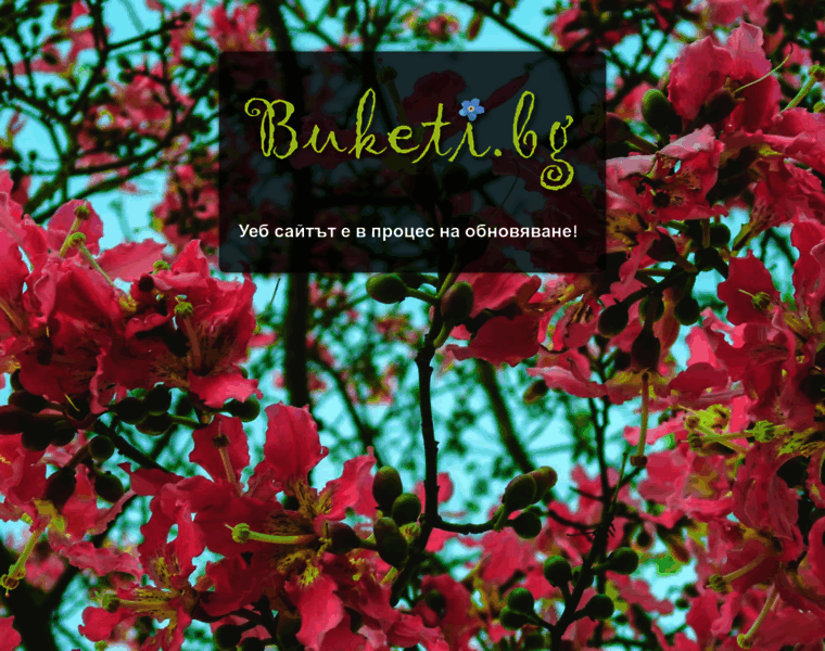 Buketi.bg thumbnail