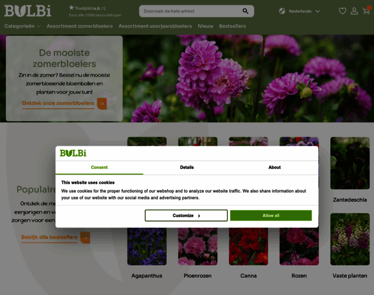Bulbi.nl thumbnail Bulbi.nl thumbnail