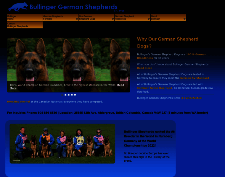 Bullingergermanshepherds.com thumbnail