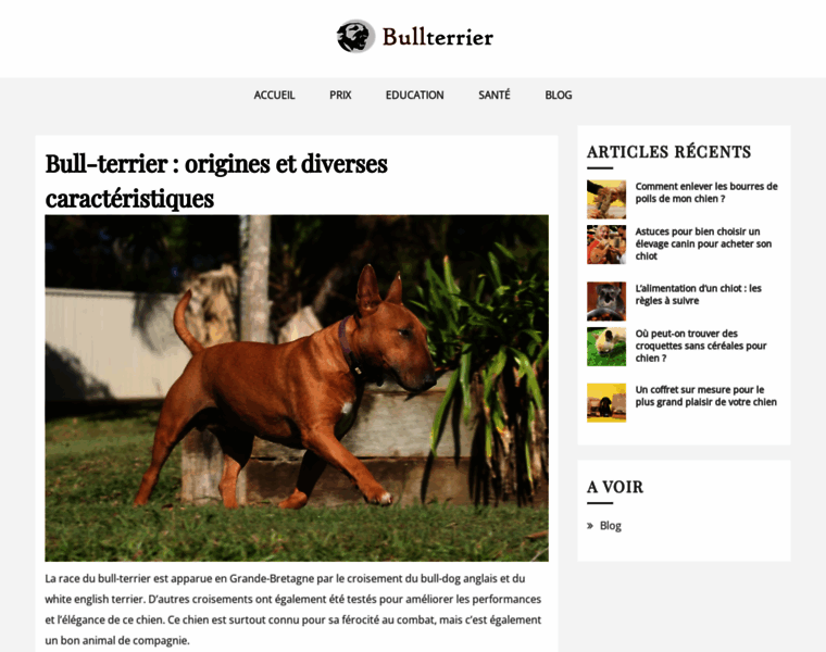 Bullterrier.fr thumbnail
