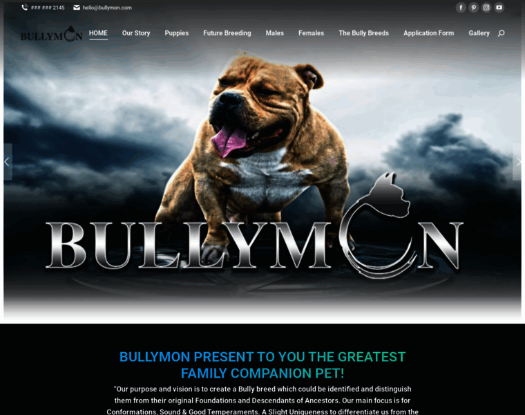 Bullymon.com thumbnail