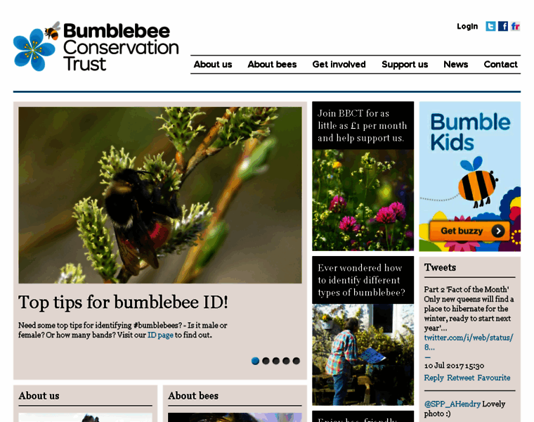 Bumblebeeconservation.org.uk thumbnail