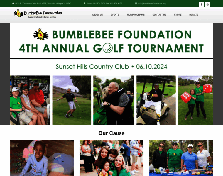 Bumblebeefoundation.org thumbnail
