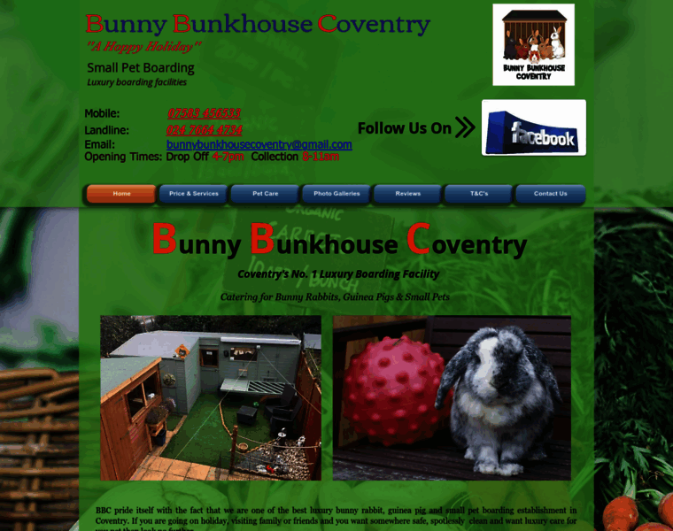 Bunnybunkhousecoventry.co.uk thumbnail