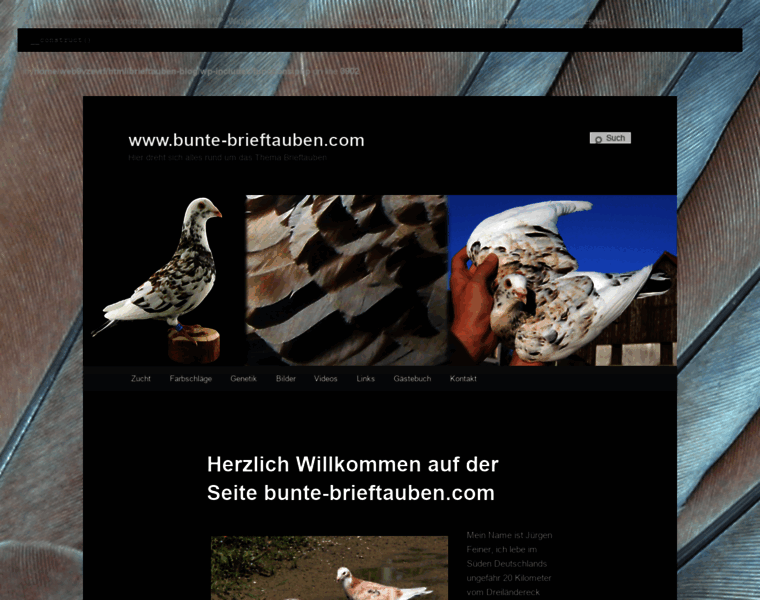 Bunte-brieftauben.com thumbnail