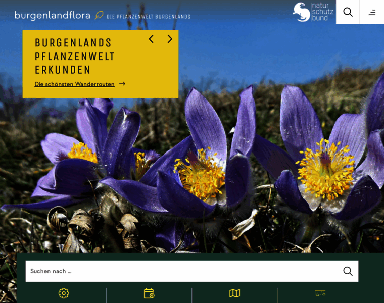 Burgenlandflora.at thumbnail