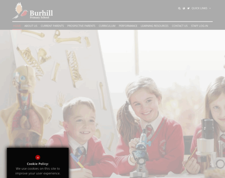 Burhill.surrey.sch.uk thumbnail