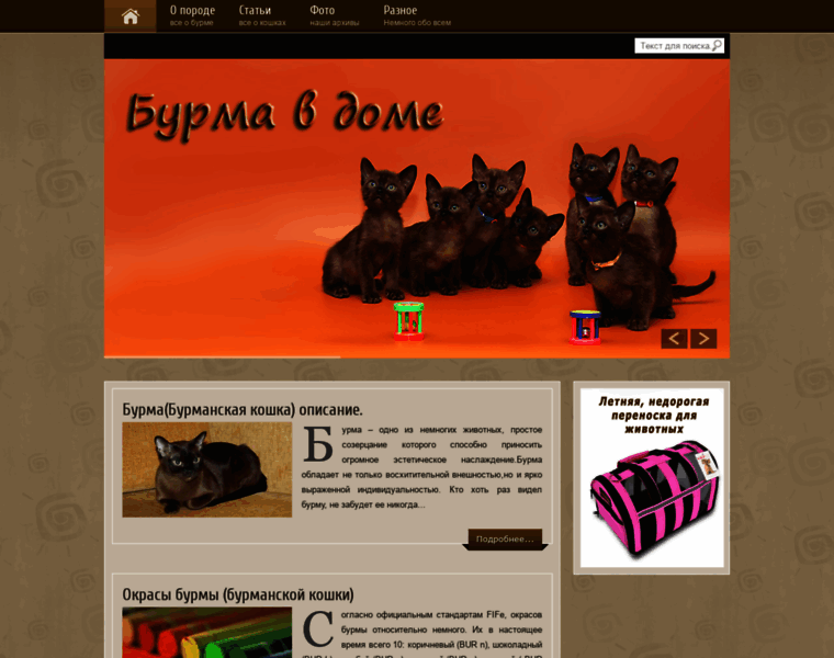 Burmadom.ru thumbnail